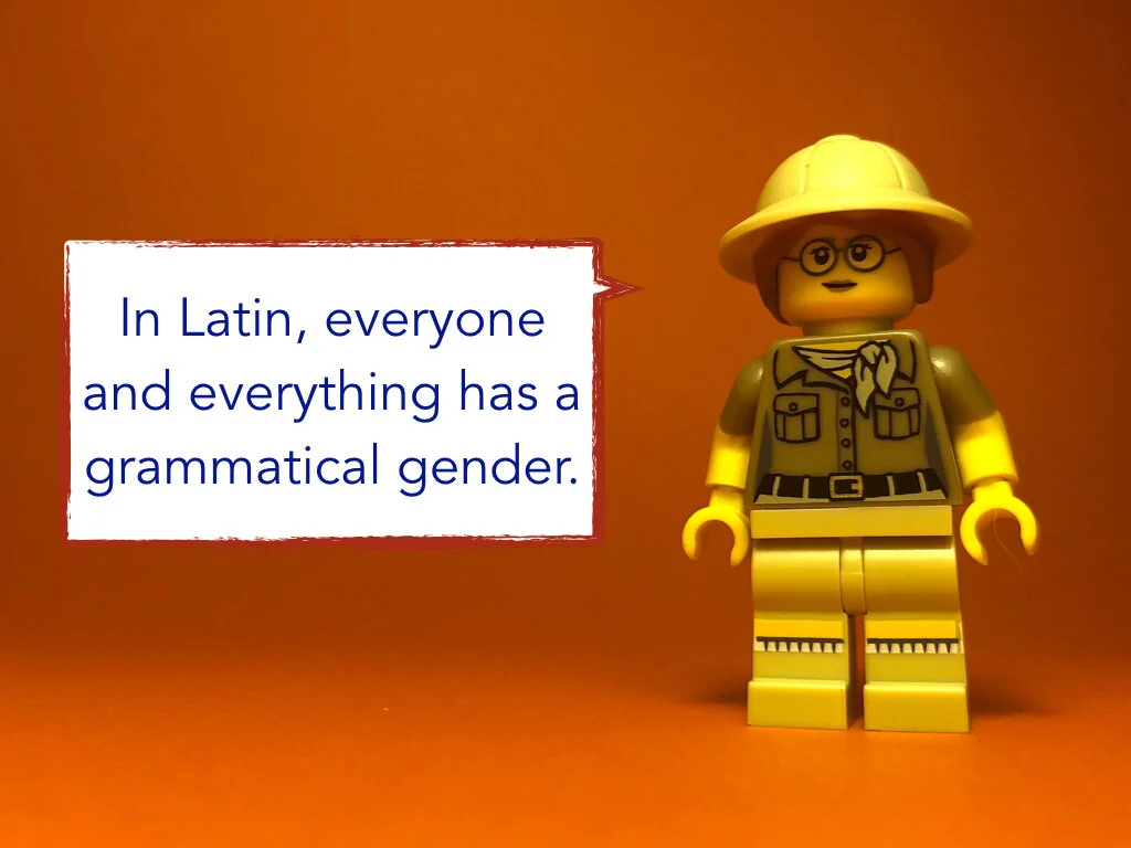 Disco Lesson 31.043.jpeg