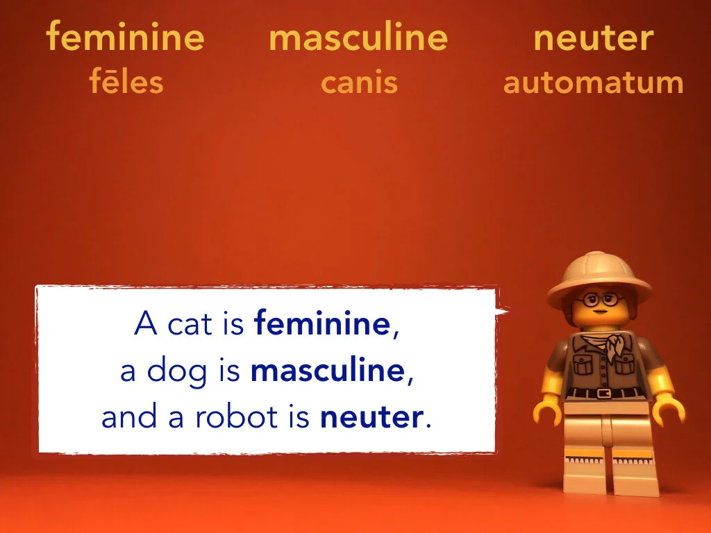 Disco Lesson 31.044.jpeg