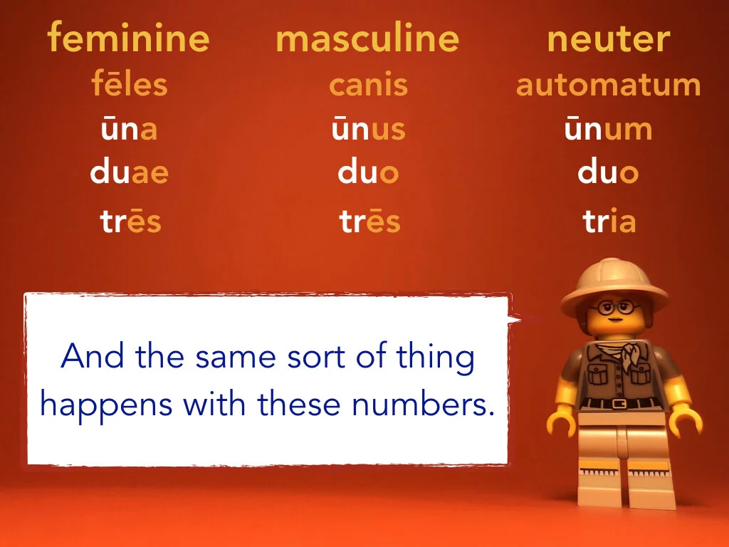 Disco Lesson 31.046.jpeg