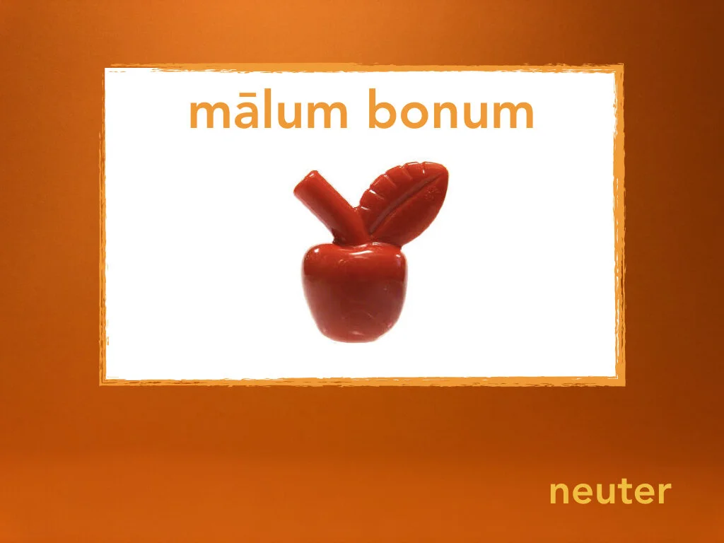 Disco Lesson 31.055.jpeg