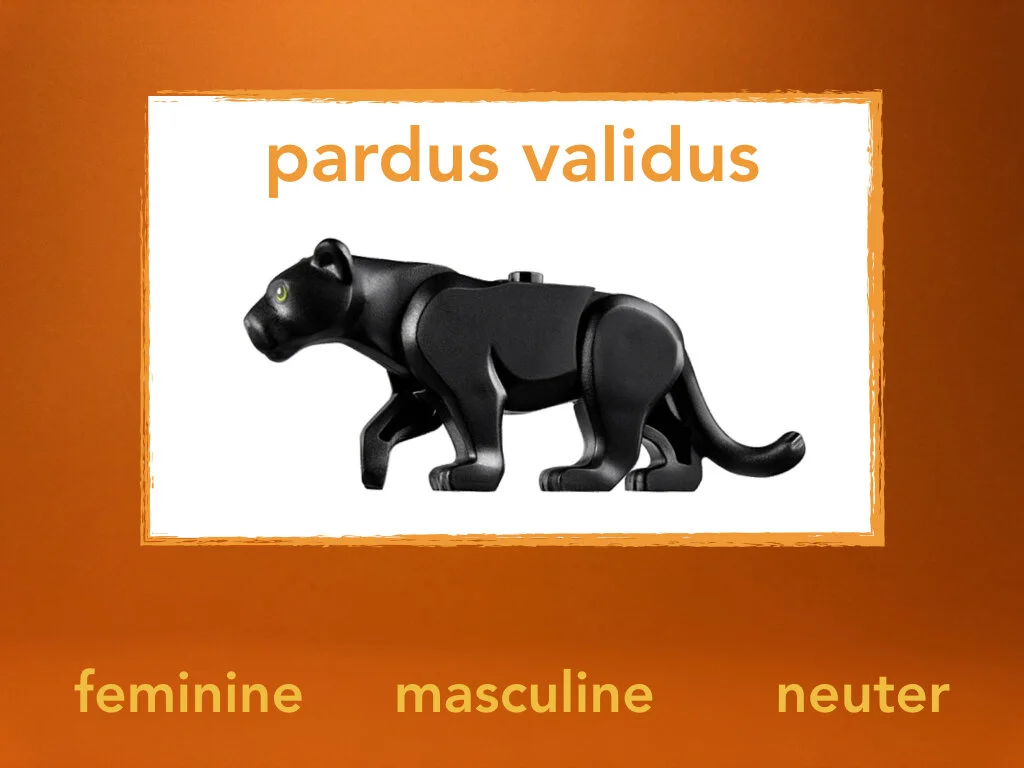 Disco Lesson 31.062.jpeg