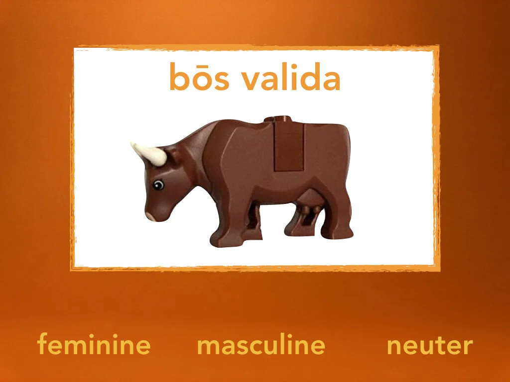 Disco Lesson 31.064.jpeg