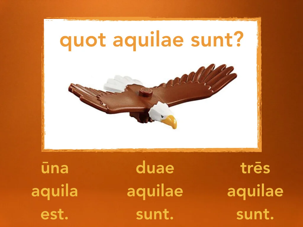 Disco Lesson 31.070.jpeg