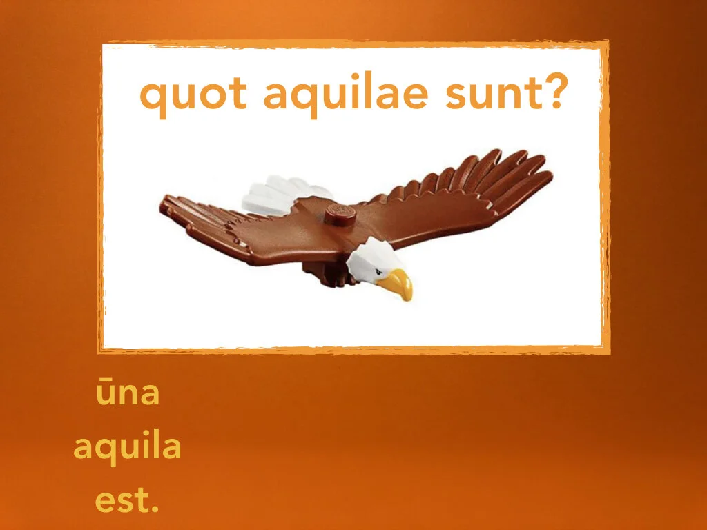 Disco Lesson 31.071.jpeg