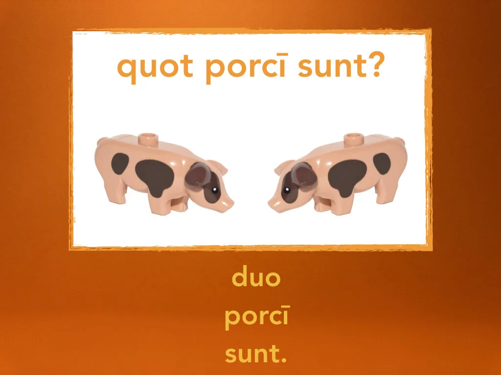 Disco Lesson 31.073.jpeg