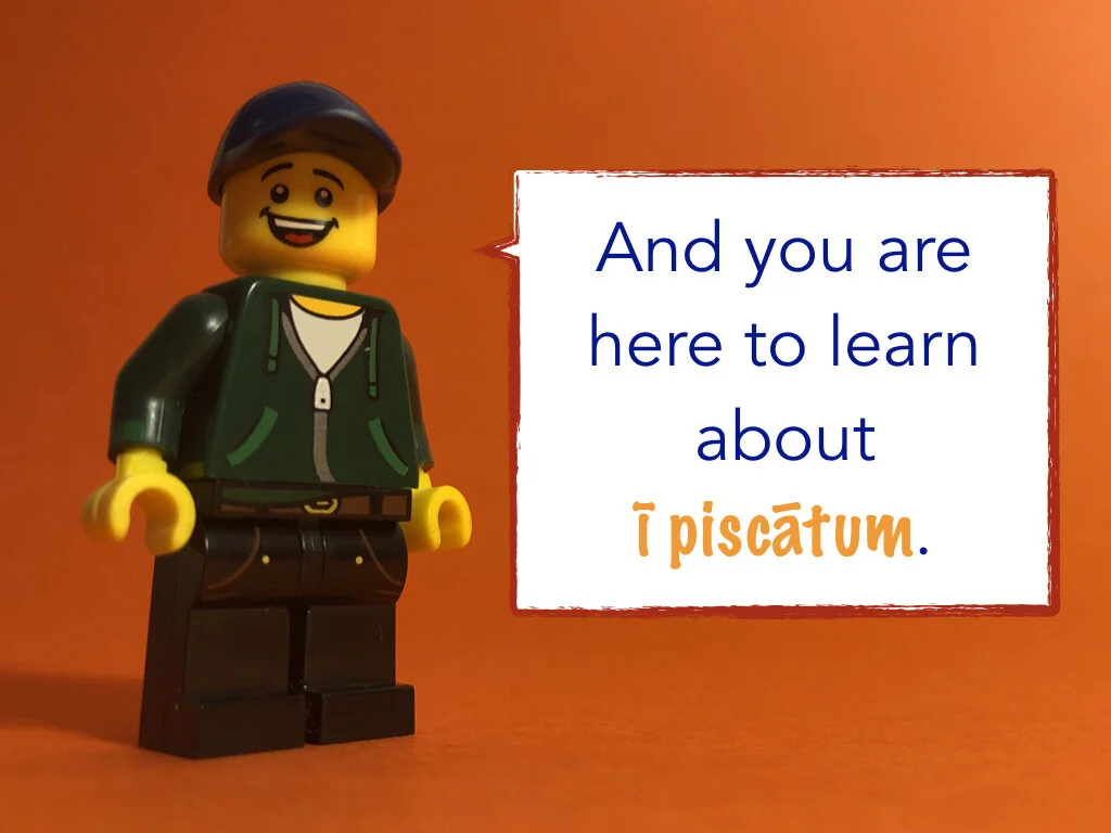 Disco Lesson 32 Remix.004.jpeg