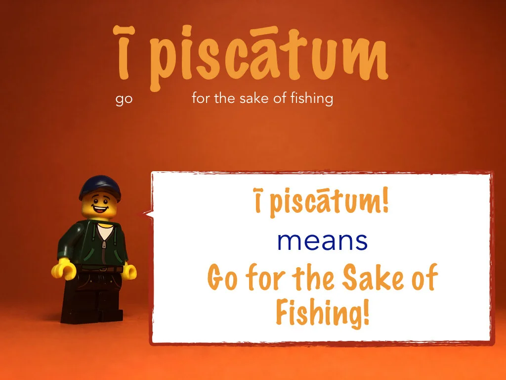 Disco Lesson 32 Remix.005.jpeg