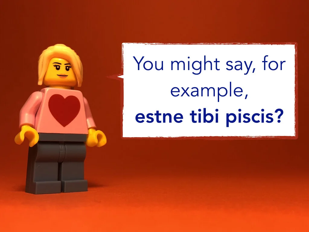 Disco Lesson 32 Remix.025.jpeg