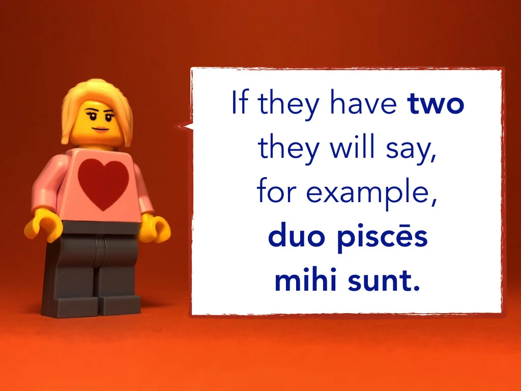 Disco Lesson 32 Remix.032.jpeg