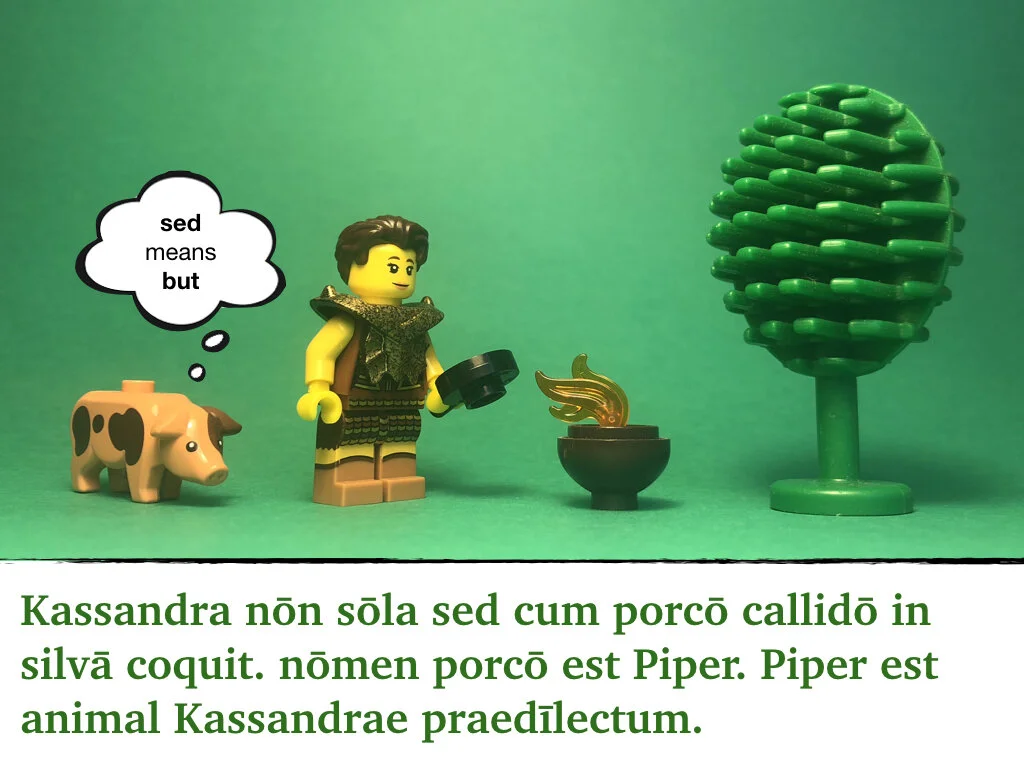 Disco Lesson 33 Remix.003.jpeg