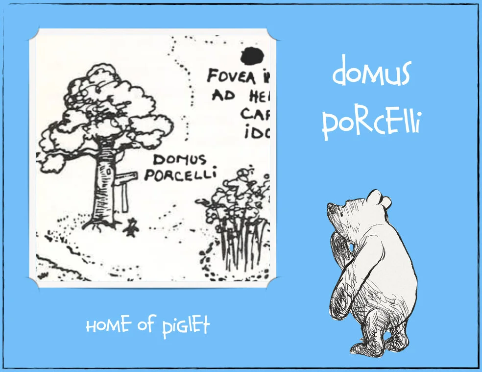 100 acres woods.005.jpeg