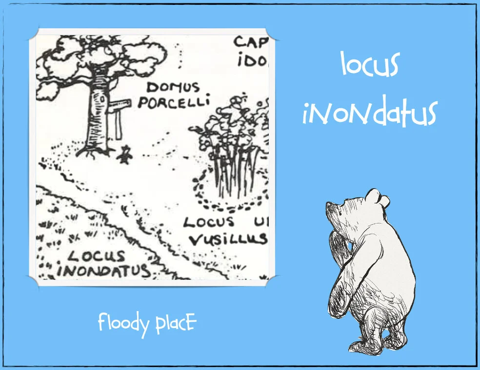 100 acres woods.014.jpeg