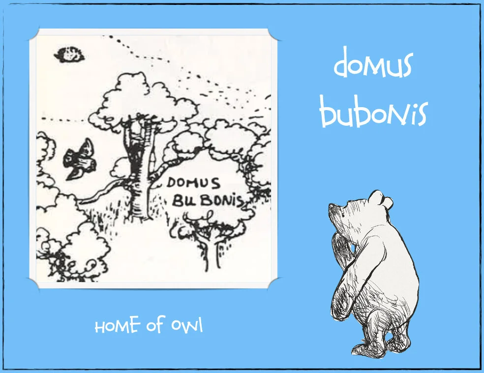 100 acres woods.015.jpeg