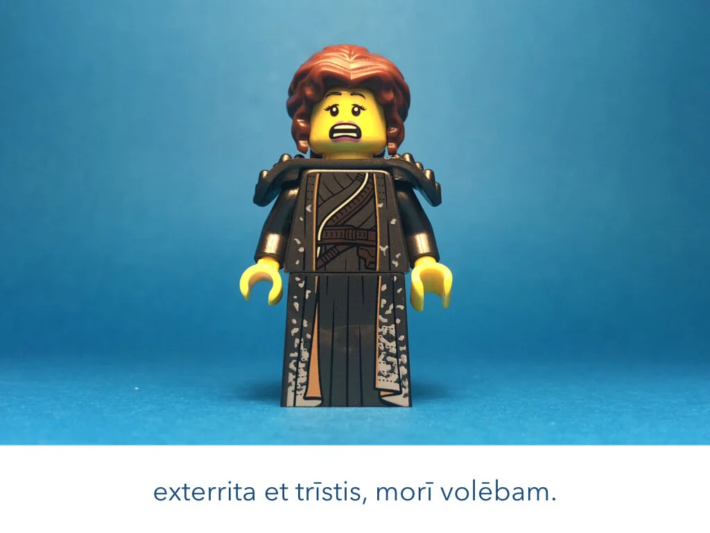 Dido Delirat.002.jpeg