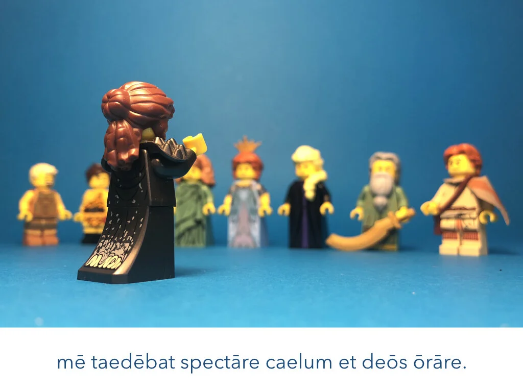 Dido Delirat.003.jpeg