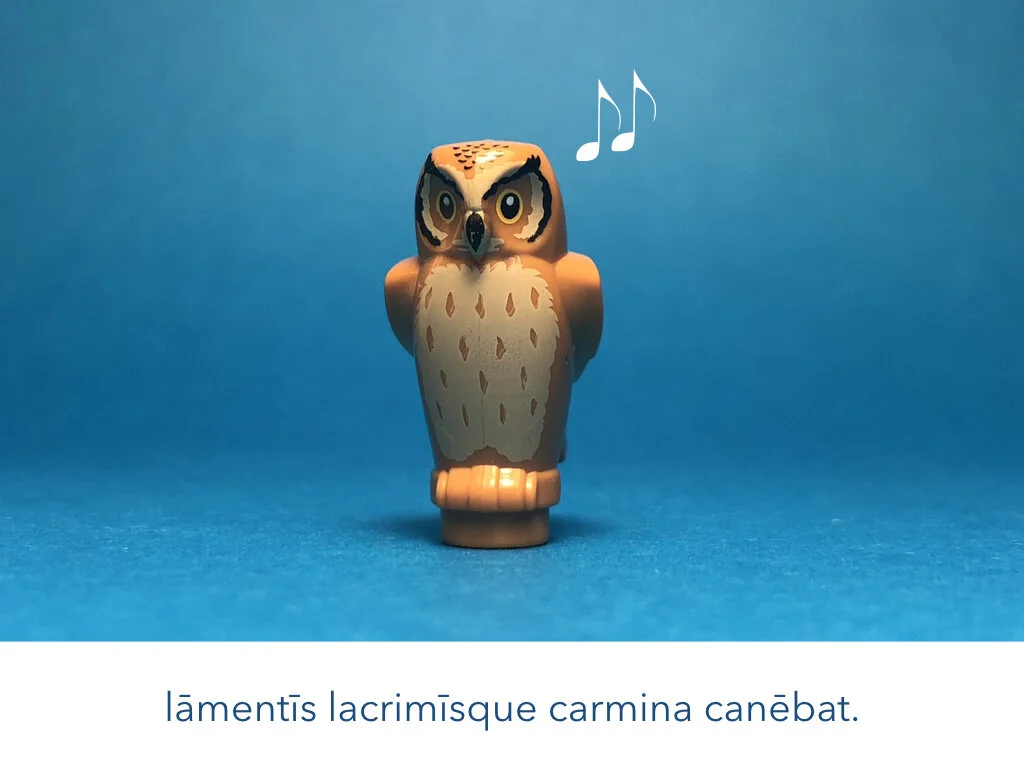 Dido Delirat.013.jpeg