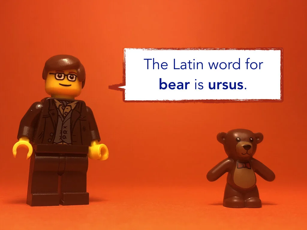 Disco Lesson 34.049.jpeg