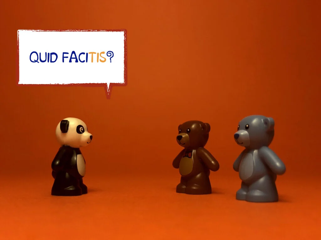 Disco Lesson 34.058.jpeg