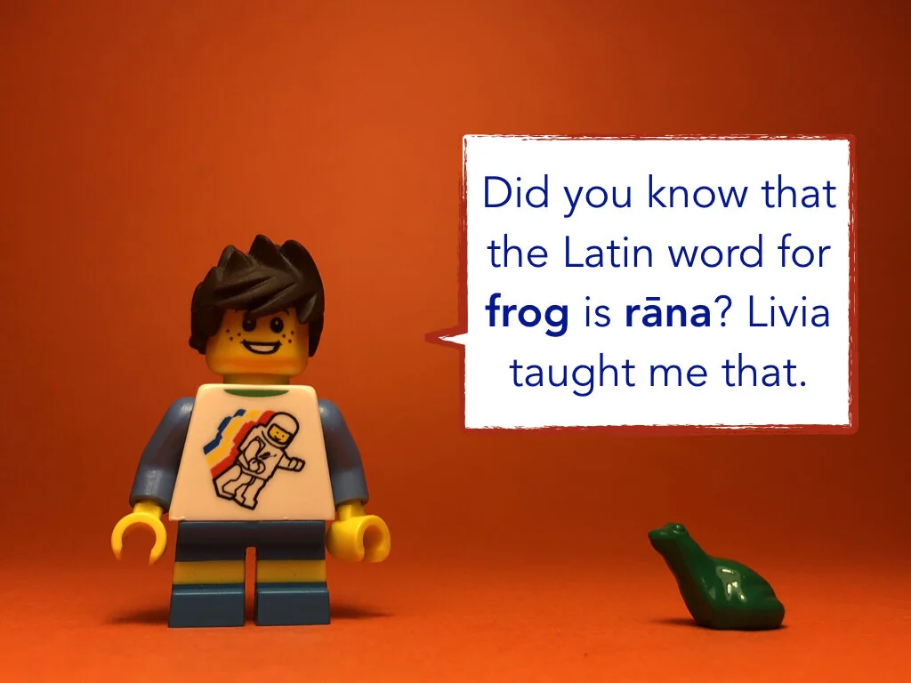 Disco Lesson 35.004.jpeg