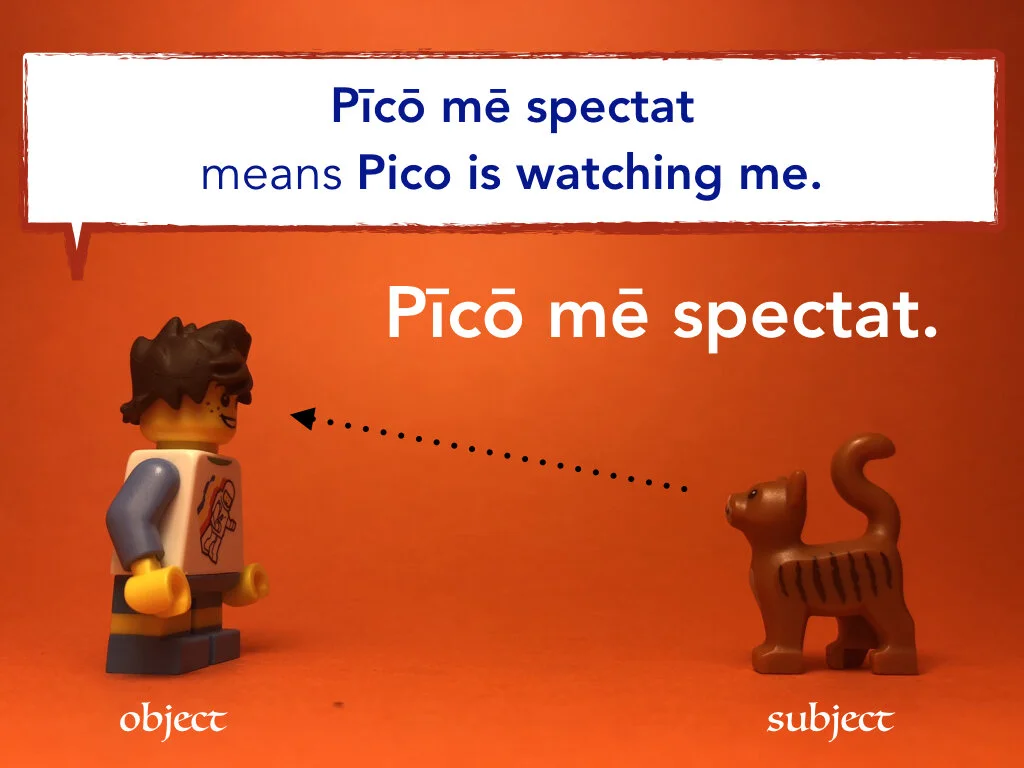 Disco Lesson 35.023.jpeg