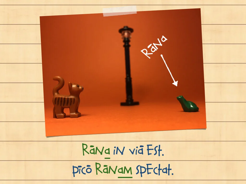 Disco Lesson 35.031.jpeg