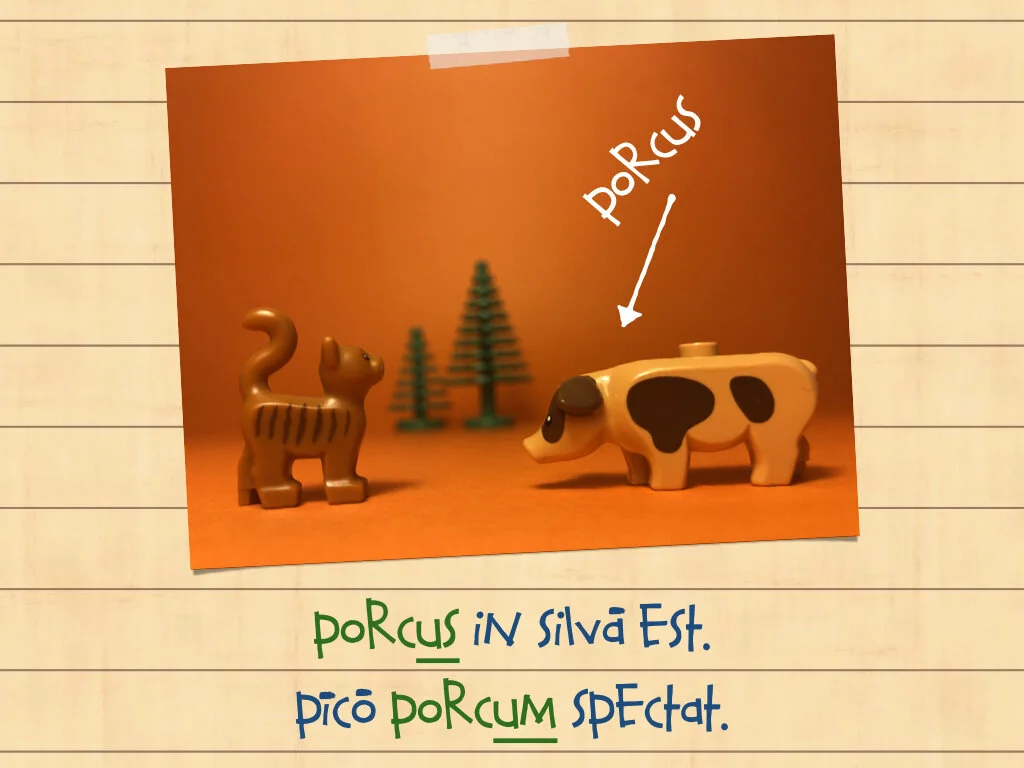 Disco Lesson 35.032.jpeg