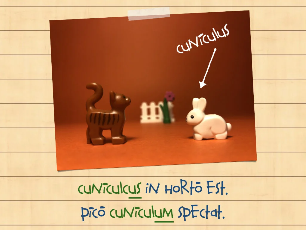 Disco Lesson 35.033.jpeg