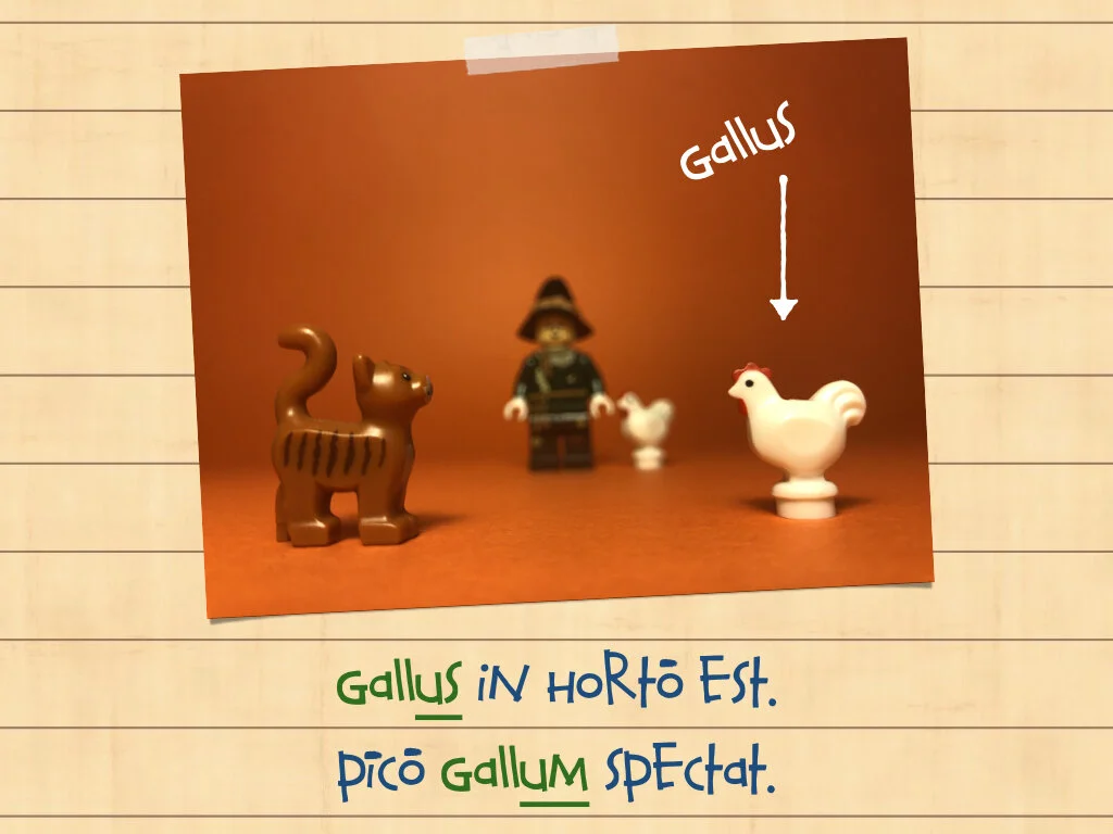 Disco Lesson 35.034.jpeg