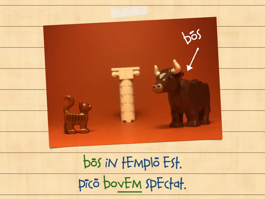 Disco Lesson 35.035.jpeg