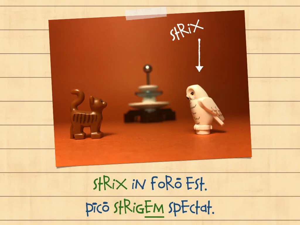 Disco Lesson 35.036.jpeg