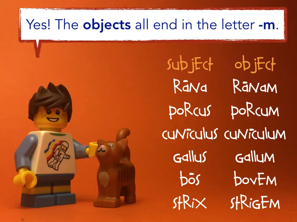 Disco Lesson 35.038.jpeg