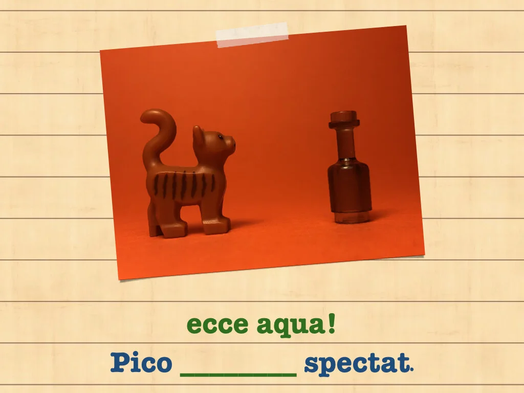 Disco Lesson 35.066.jpeg