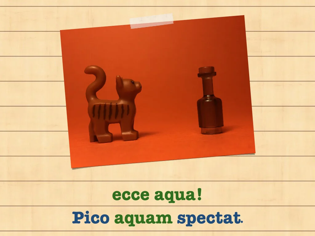 Disco Lesson 35.067.jpeg