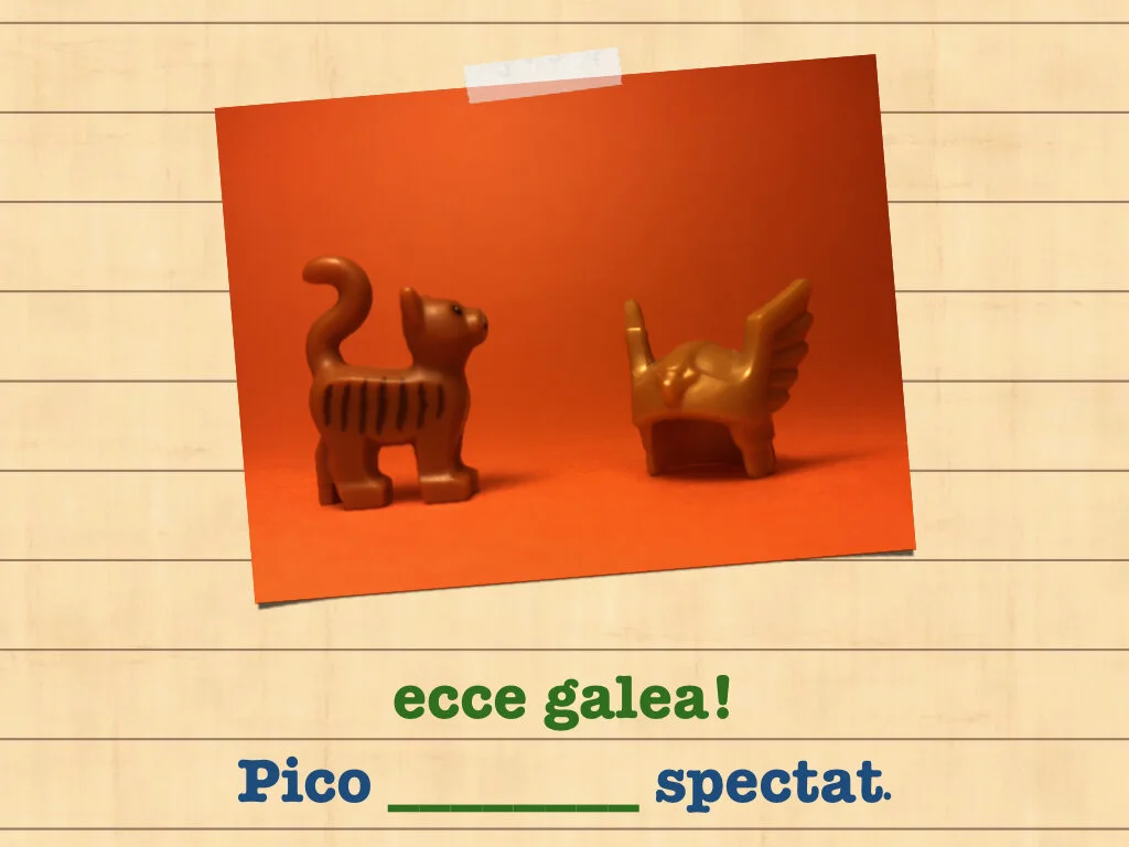 Disco Lesson 35.068.jpeg