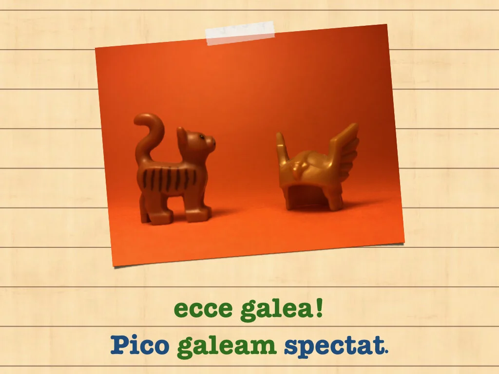 Disco Lesson 35.069.jpeg