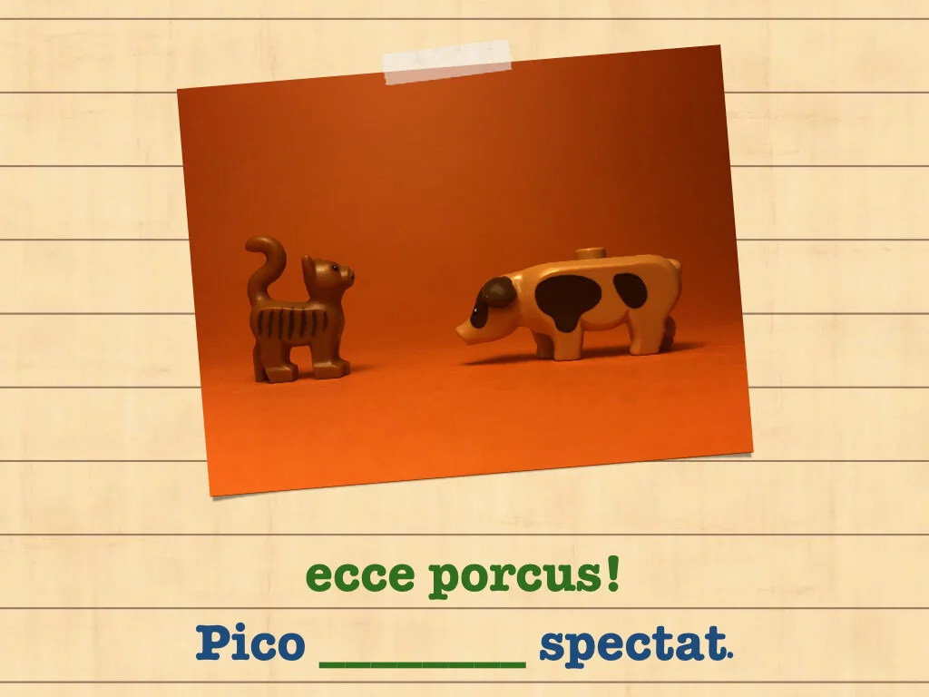 Disco Lesson 35.070.jpeg