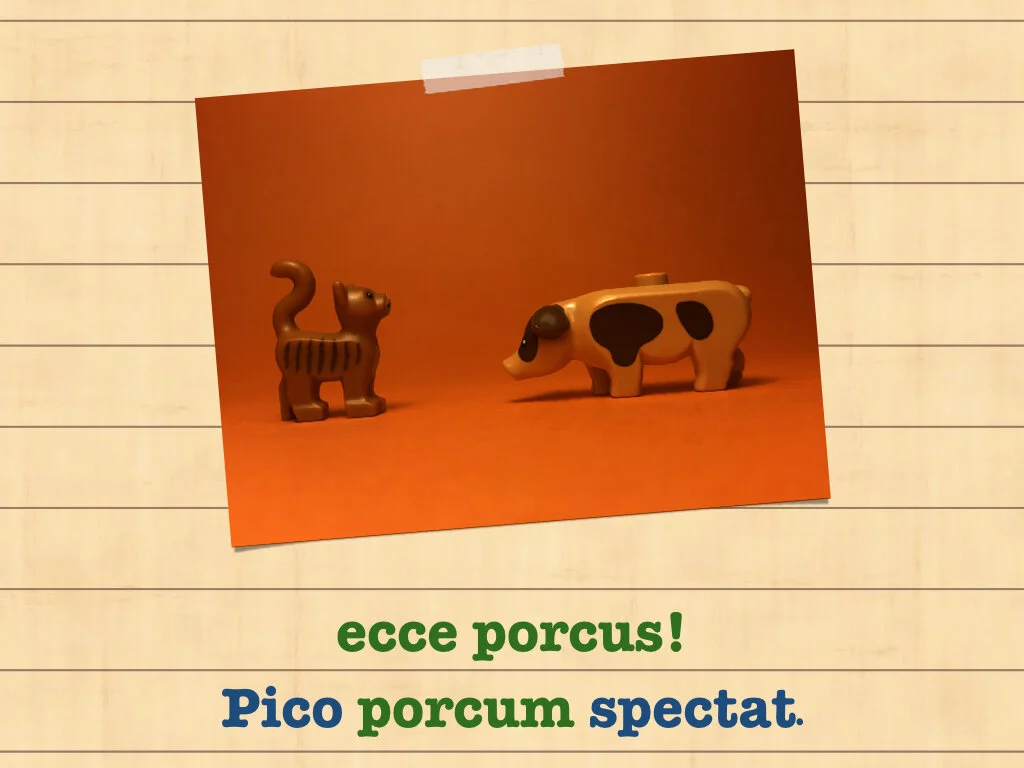 Disco Lesson 35.071.jpeg