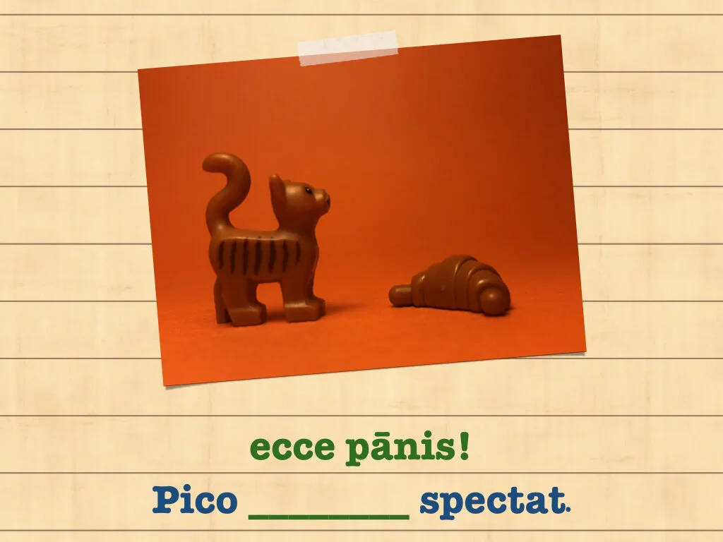 Disco Lesson 35.072.jpeg