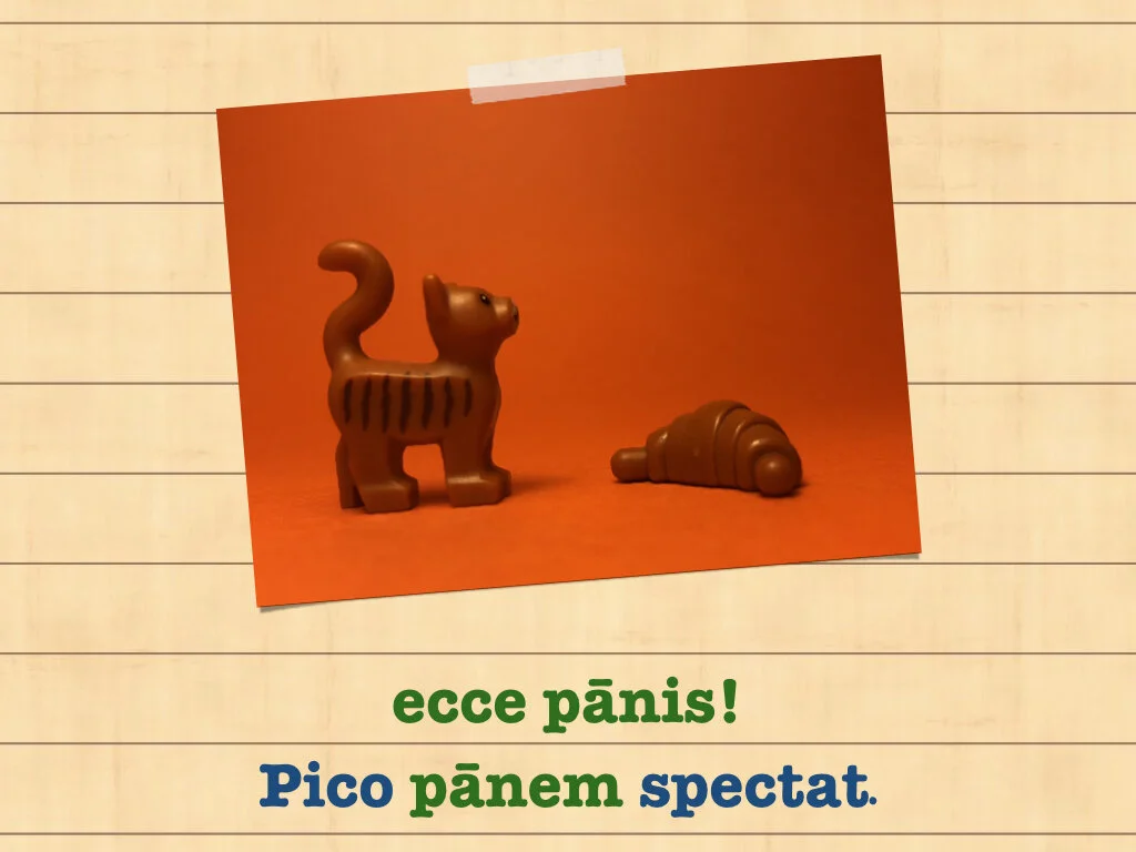 Disco Lesson 35.073.jpeg