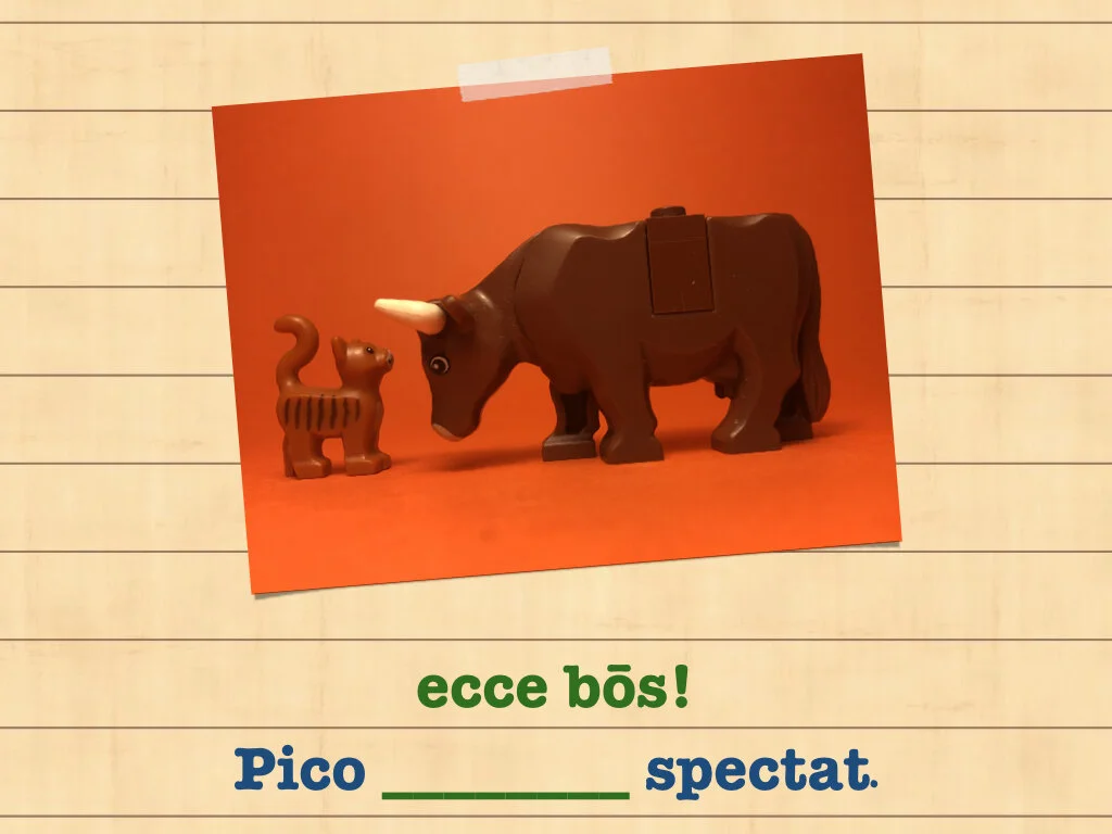 Disco Lesson 35.074.jpeg