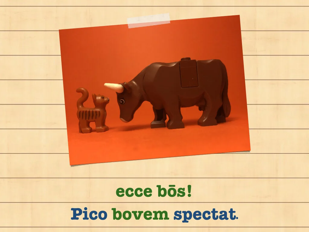 Disco Lesson 35.075.jpeg