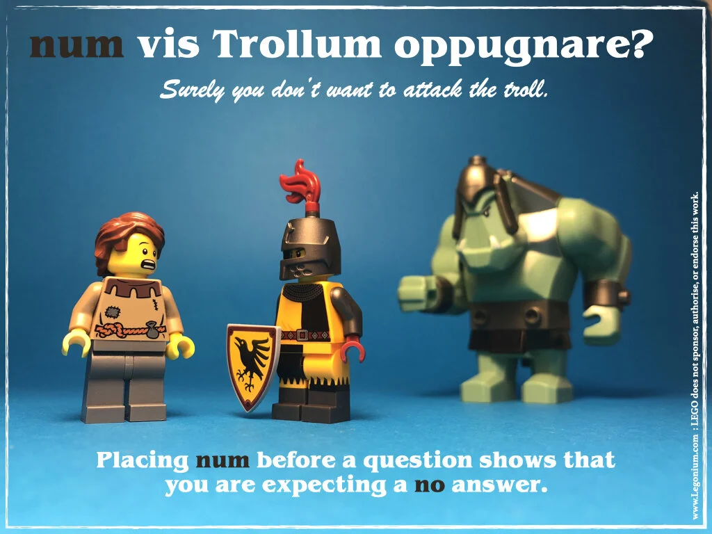 trollum oppugnare.003.jpeg