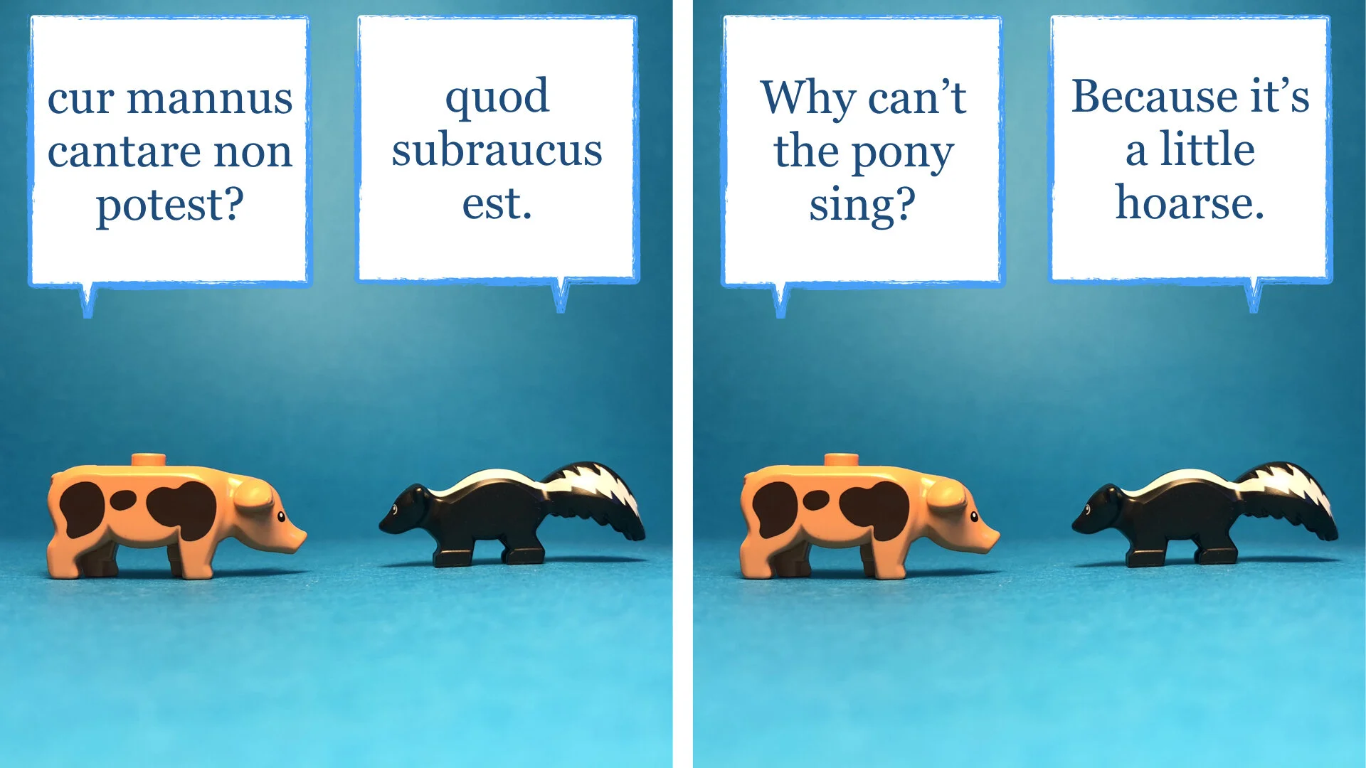 jokes that don't work in Latin 2.004.jpeg