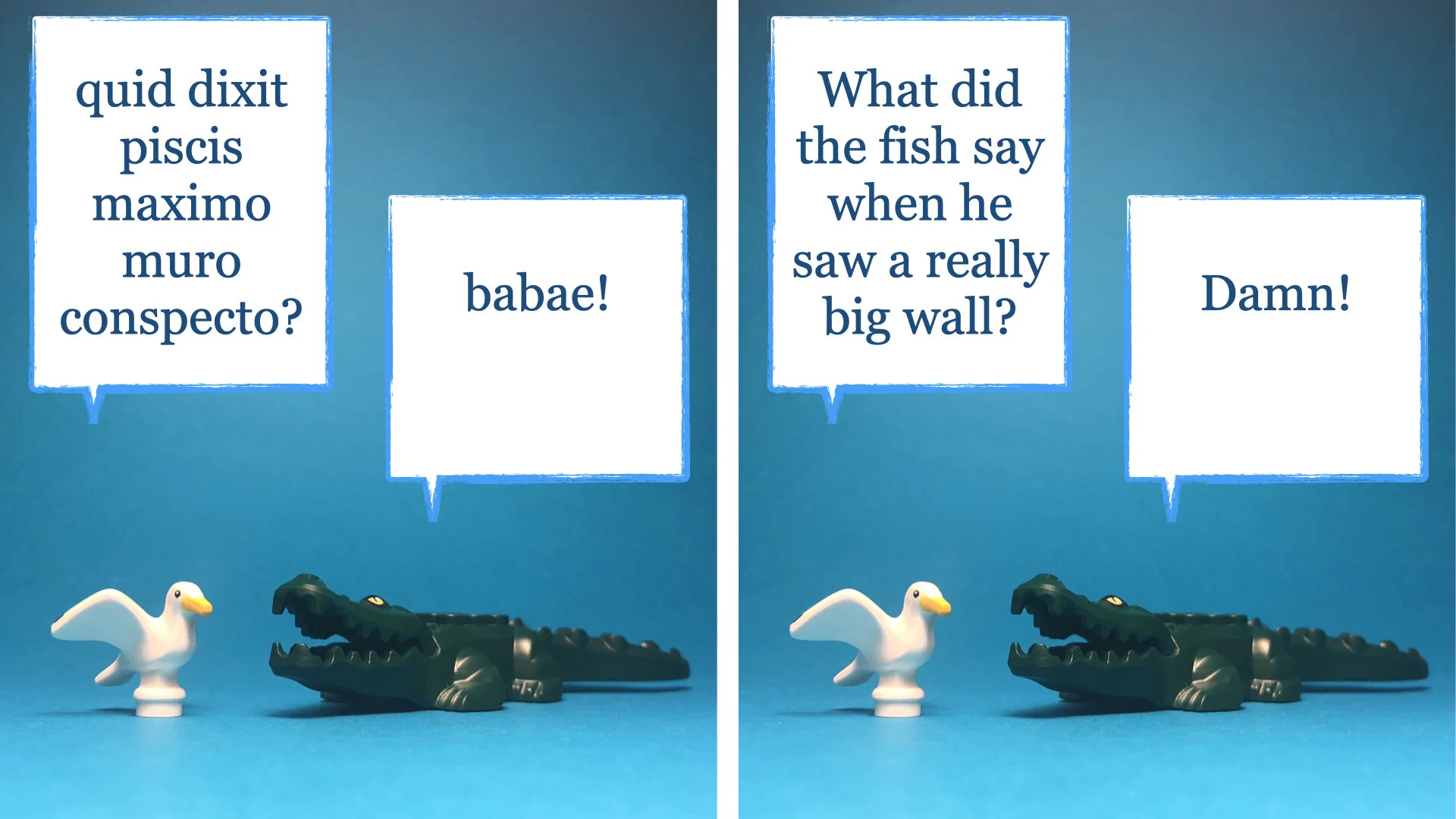 jokes that don't work in Latin 3.004.jpeg