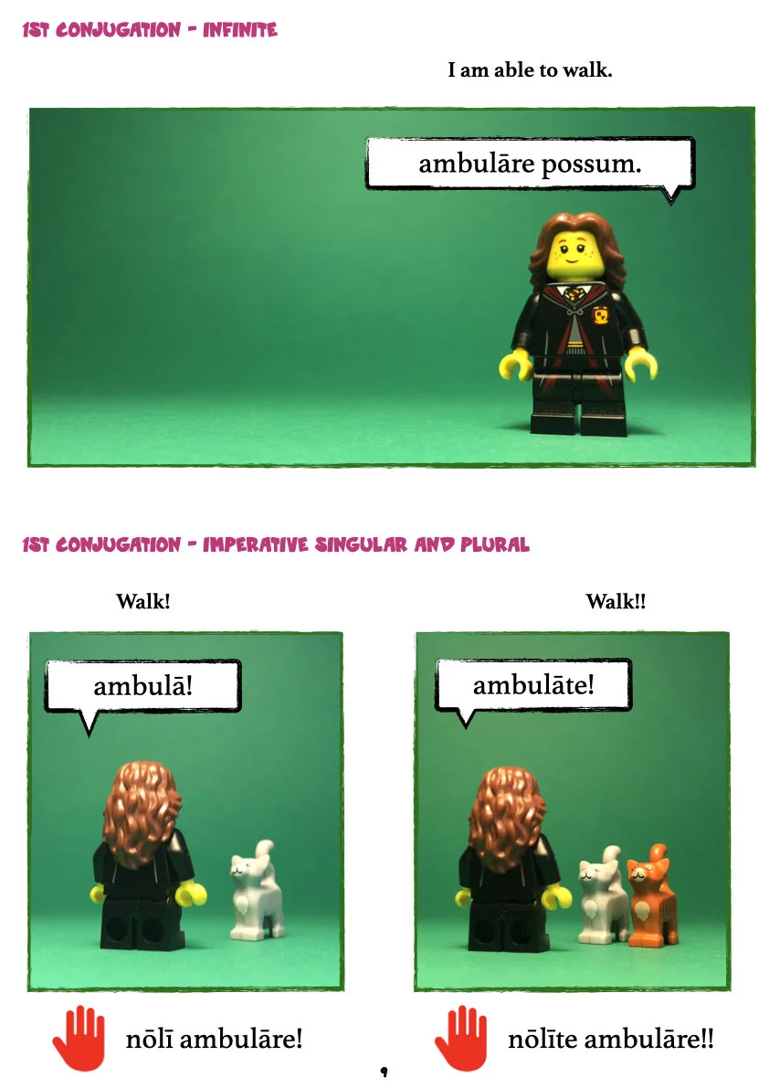 A First Latin Grammar pars prima.011.jpeg