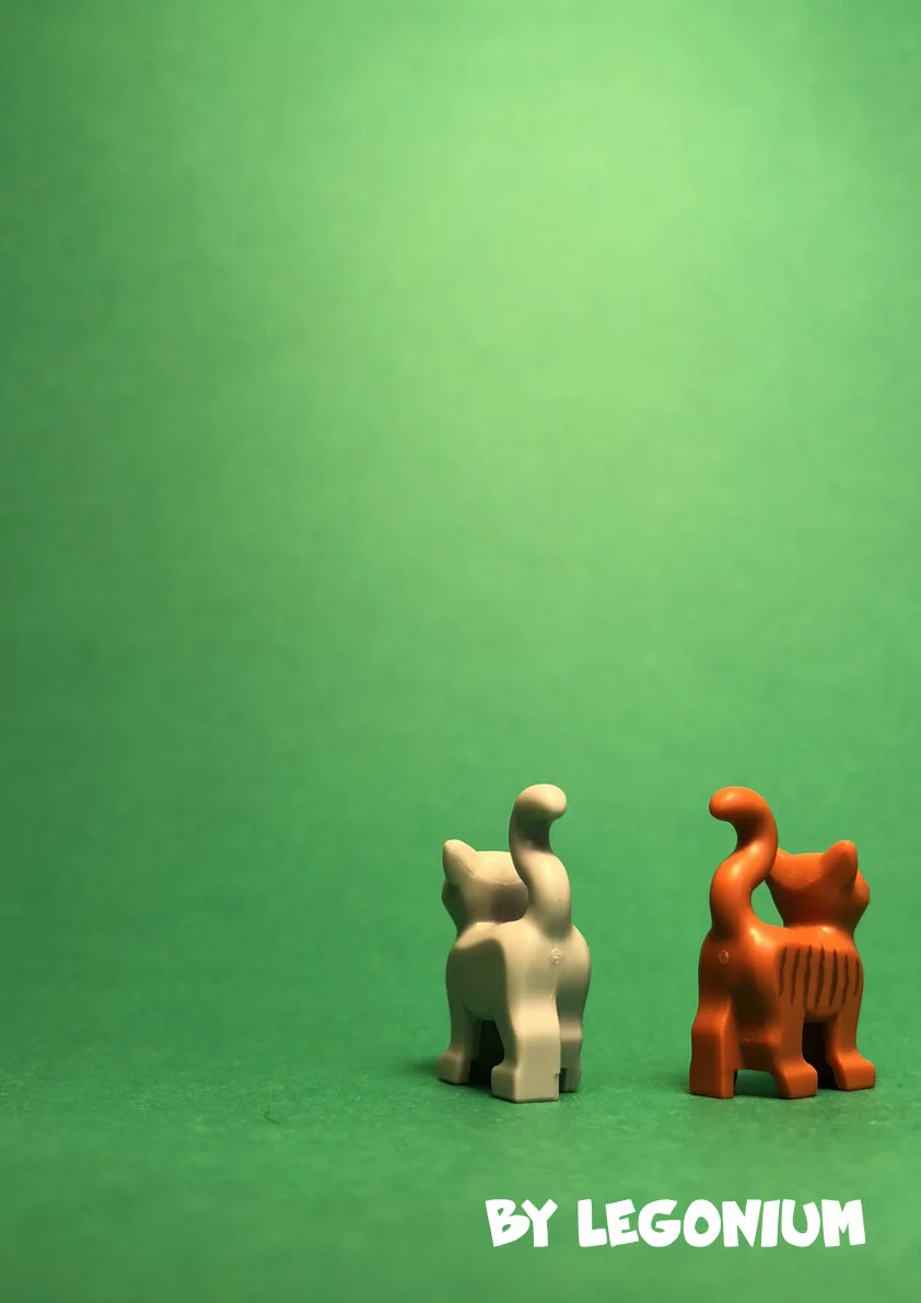 A First Latin Grammar pars prima.040.jpeg