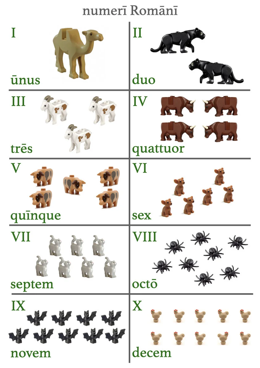 A First Latin Grammar pars secunda.025.jpeg