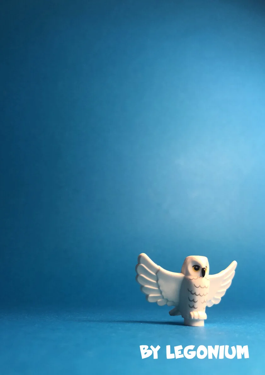 A First Latin Grammar pars secunda.040.jpeg