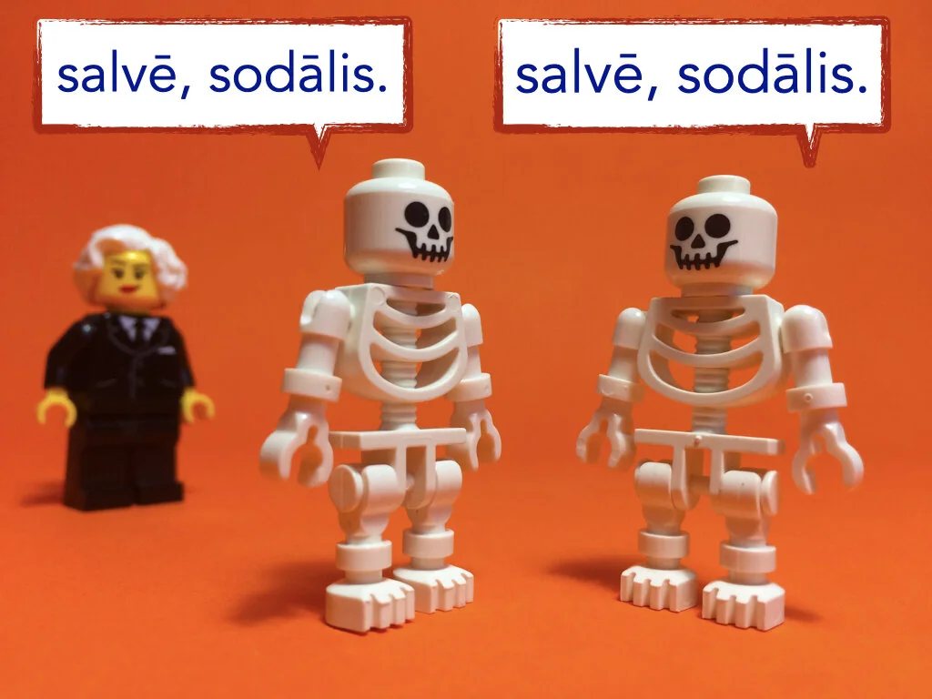 German disco 1.013.jpeg