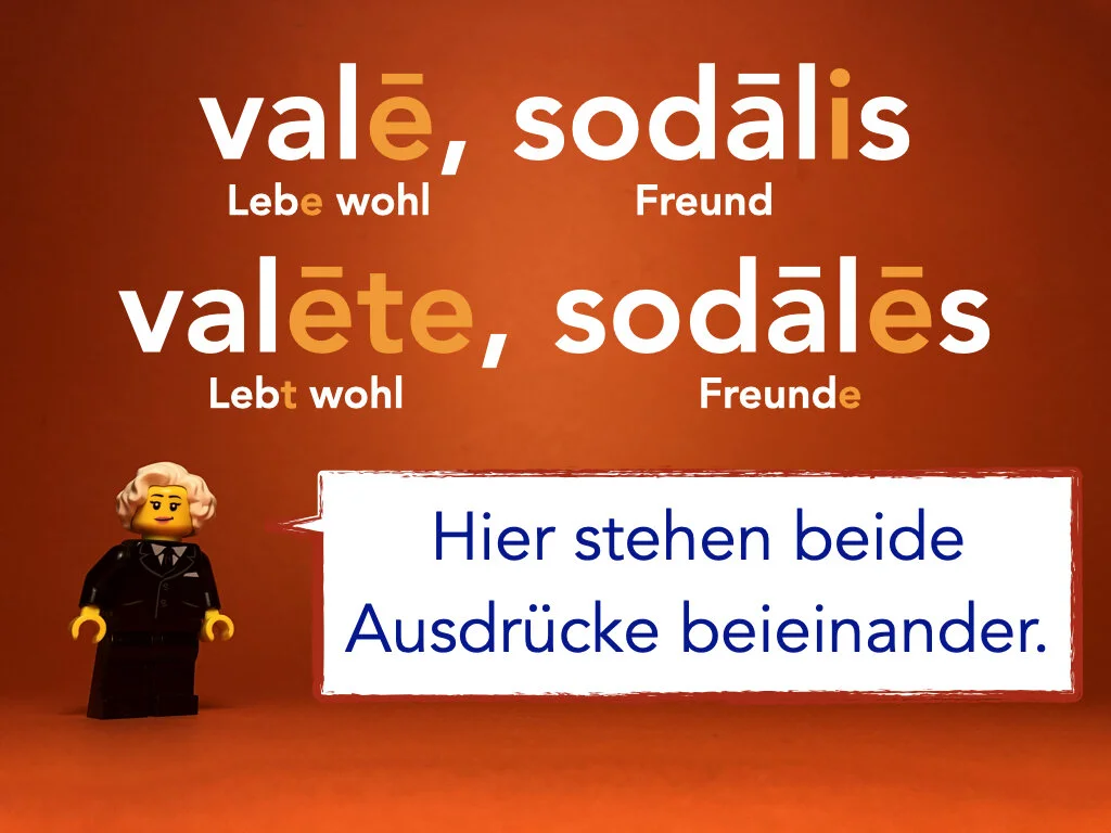 German disco 1.026.jpeg